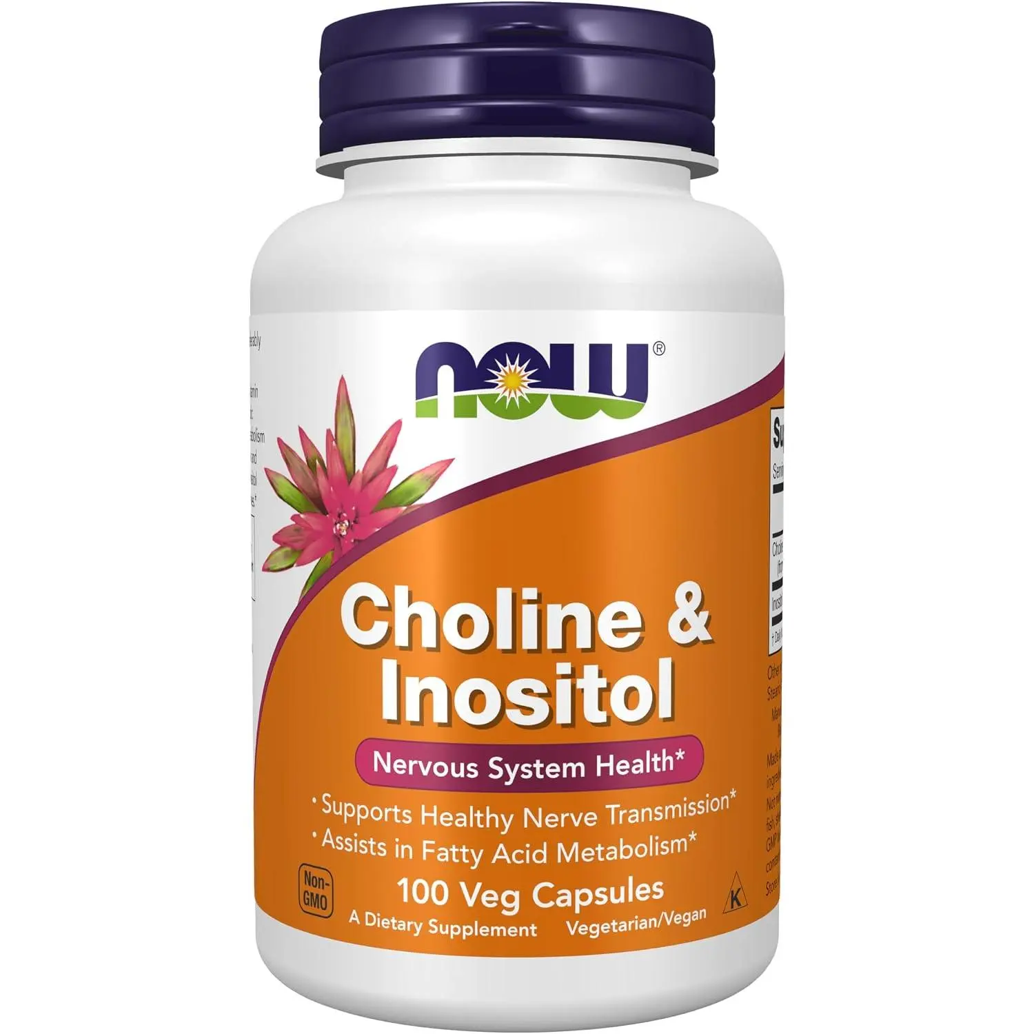 NOW Foods Supplements, Choline & Inositol 500 mg, Healthy Nerve Transmission*, Nervous System Health*, 100 Capsules