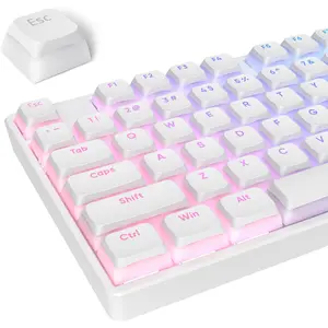 White Pudding PBT Keycaps, 117 Key XDA Profile Key caps, Custom Keyboard Keycap 75 Percent, Minimalist Key Cap Set for Cherry MX Swithes Mechanical Keyboard (White)
