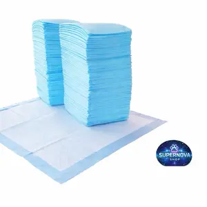 Disposable Super Absorbent Pet Training Pads | Leakproof & Quick-Dry
