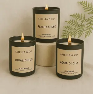 Amelia & Co. 10oz Soy Wax Candles - Flash & Smoke, Divalicious, Aqua Di Dua - Earth Friendly, Wood Wick Decor Ornaments