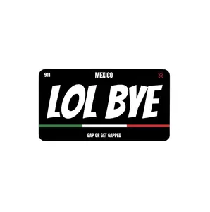 LOL BYE Magnetic License Plate Cover