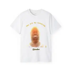 Lebonbon Meme T-Shirt, You are my Sunshine Tshirt, Humor, Meme Tshirt, Lebron James Meme Tee, LeEvil Tee, LeEvil Shirt, Graphic, Fitable,