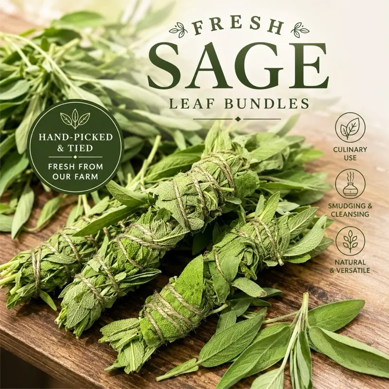 Fresh Sage Leaf Bundle | Hand Picked Sage | 5-6 Inch Sage Bundle | Culinary Herb | Drying Herbs | Farm Fresh Sage