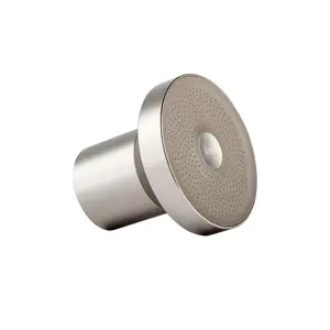 Jolie Skin Co. Filtered Showerhead in Brushed Steel