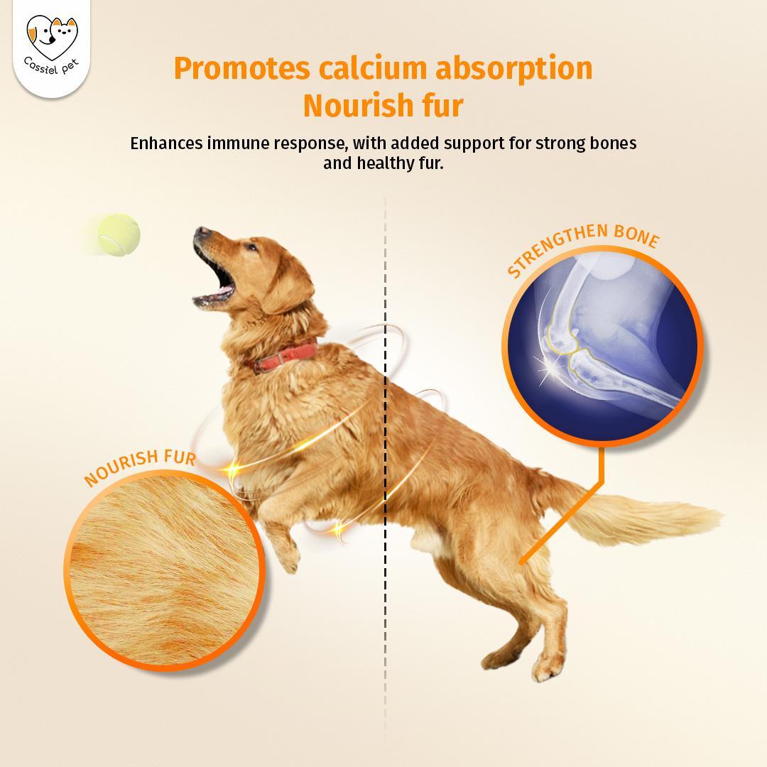 Cassiel Pet Immune Booster for Dogs & Cats - Natural Nutritional Syrup, Supports Daily Wellness, Energy & Vitality, Plant-Based Formula, 60ml