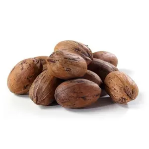 Pecans In Shell