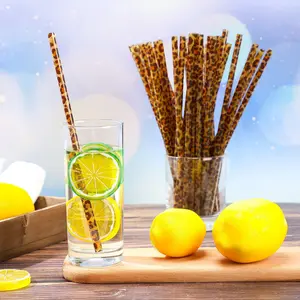 Leopard Print Ice Coffee Straws (20-Pack with 2 Brushes), Reusable 9-Inch Straws, Coffee Bar Accessories, Dirty Soda Straws, Home Bar Accessories