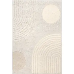 Gloria Abstract Shag Area Rug
