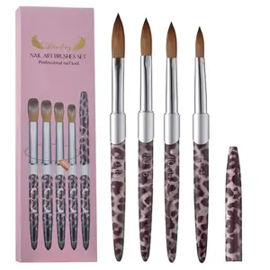 Cheetah Print Crystal Nail Art Pen Set, 4-Piece Portable Manicure Kit, Dry & Wet Use, Home, Travel, Salon, Professional Quality