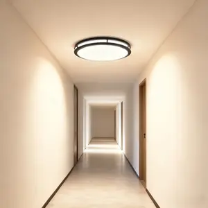 LED Ceiling Light 2piece 13 36W 5CCT LED Double Halo Ceiling Light Surface Mounted Brushed Finish Acrylic Lens Suitable for Kitchen Bedroom Bathroom Stairwell Modern Contemporary Design Fashionable Light Fixtures Lighting | Fashionable Light Fixtures