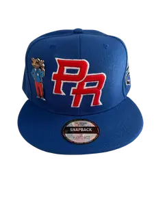 Pinned Metallic Sapo Concho Puerto Rico Snapback Hat Embroidered Black Coqui Patch 3D Embroidery Flat Brim Adjustable Cap for Men Women