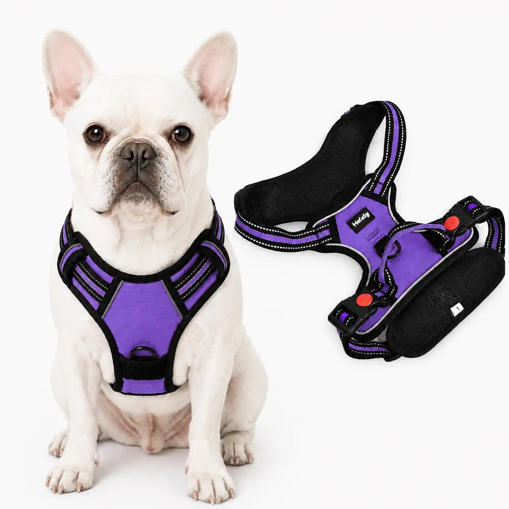 Helety Designer-Inspired Purple Dog Harness, Premium Adjustable Walking Harness with Breathable Padding, Reflective Accents & Secure Buckles
