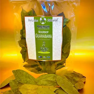 BN Guanabana Leaves Dried Natural Flavor Whole High Quality Vegan Herbal Beverage Tea