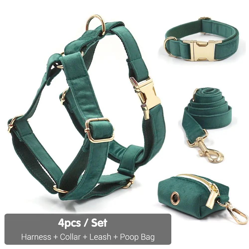Kelly Green Velvet Collar, Harness, Bow/Bowtie, Leash, and Waste Bag Holder Kelly Green Velvet Collar, Harness, Bow/Bowtie, Leash, and Waste Bag Holder