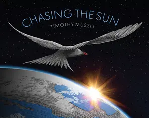 USED-Chasing the Sun by Musso, Timothy (Hardcover)