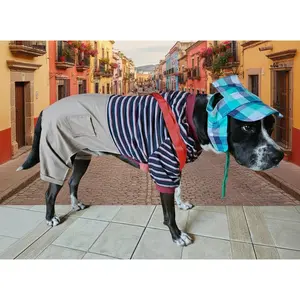 Chavo disfraz / Chavo costume Final sale