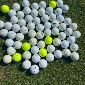 Titleist Standard Golf Balls, Mixed Style, 2 Dozen, Essential Golf