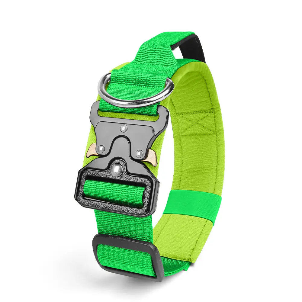 Fluorescent green (new color for 2026)