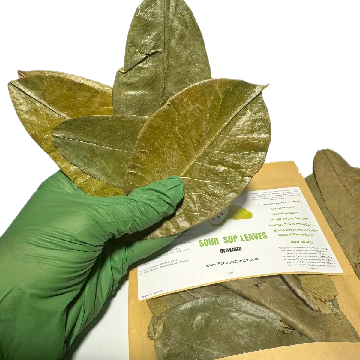 Soursop Leaves  Graviola  Healthcare Supplement Dietary Optimum Tea  Natural Herbal Alkaline Beverage