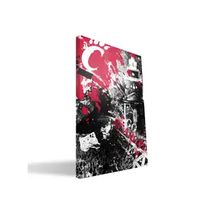 Paulson Designs  Cincinnati Spirit Canvas, 24 x 36 in.