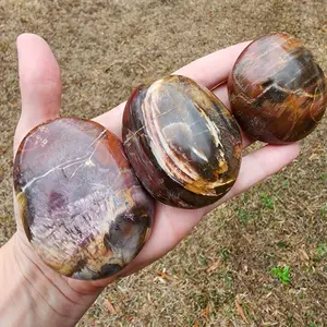Petrified Wood Palm Stone