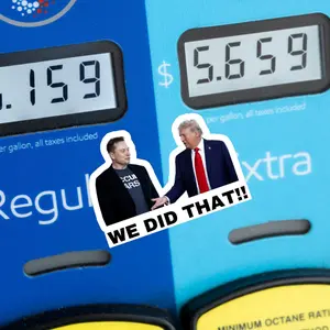 We Did That Trump and Elon Sticker | Political Sticker | Vinyl Sticker | Water Resistant | 2" x 1.5" | Anti Trump | Meme Sticker Decor Decorative