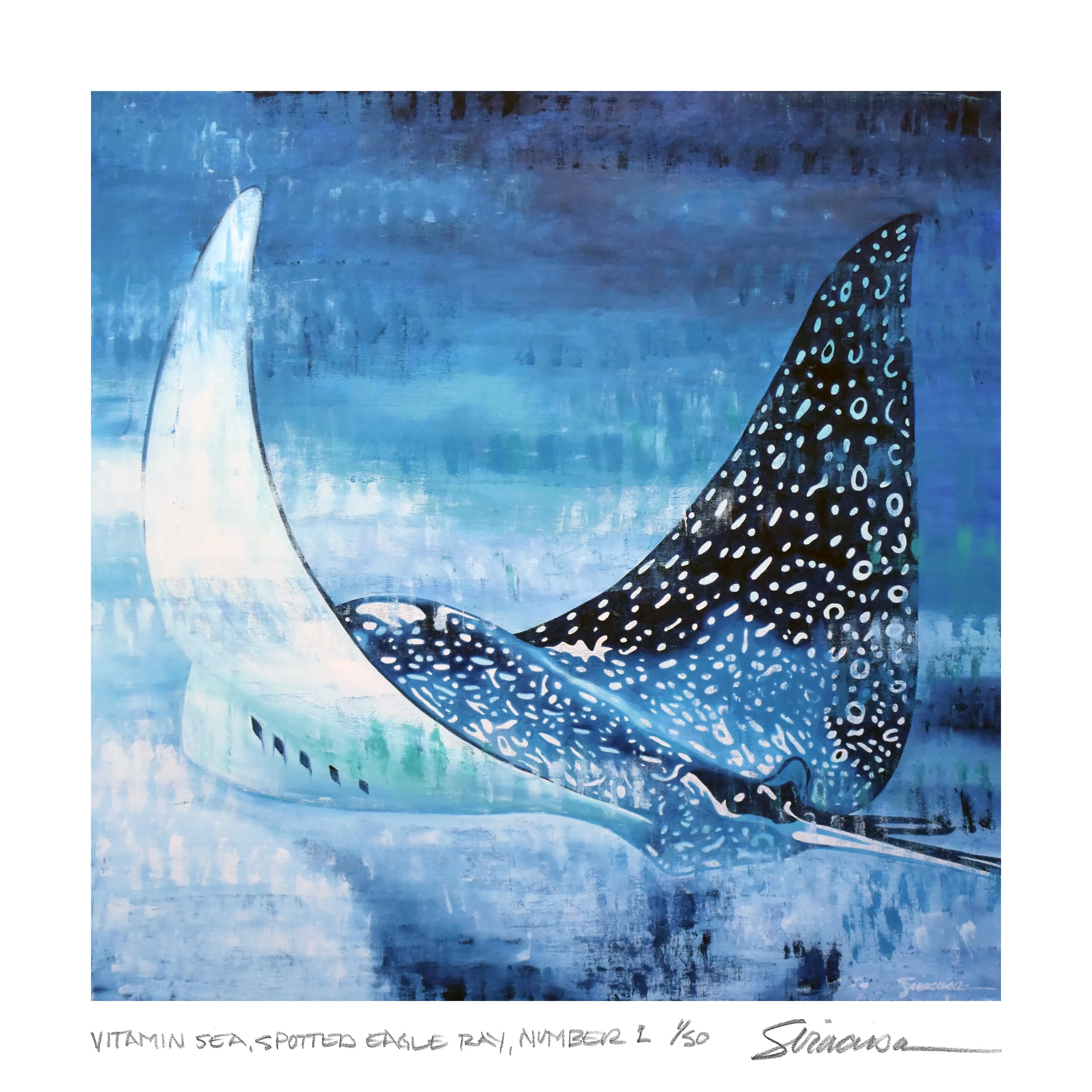 Vitamin SEA, Spotted Eagle Ray, Limited Edition Print, 12" x 12"