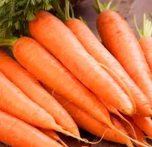 500 Atomic Red Carrot Seeds High Yielding Lycopene Chantenay NON-GMO, Heirloom
