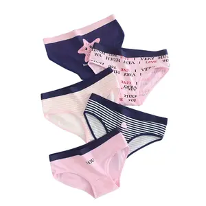Women's 5-Piece Knit Cotton Soft Comfy Briefs Set - Mixed Color Cartoon Printed, Seamless Cotton Hipster Underwear, Panties