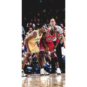 Kobe Bryant & Michael Jordan Poster