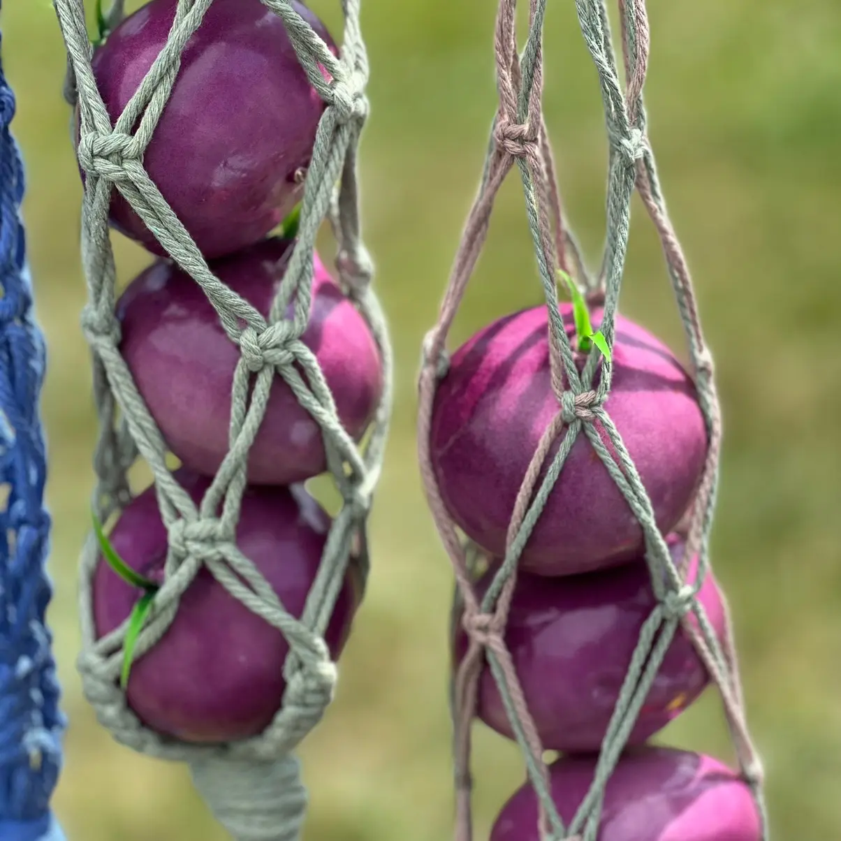 Macramé Onion Hanger