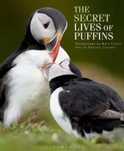 USED-The Secret Lives of Puffins by Dominic Couzens (Hardcover)