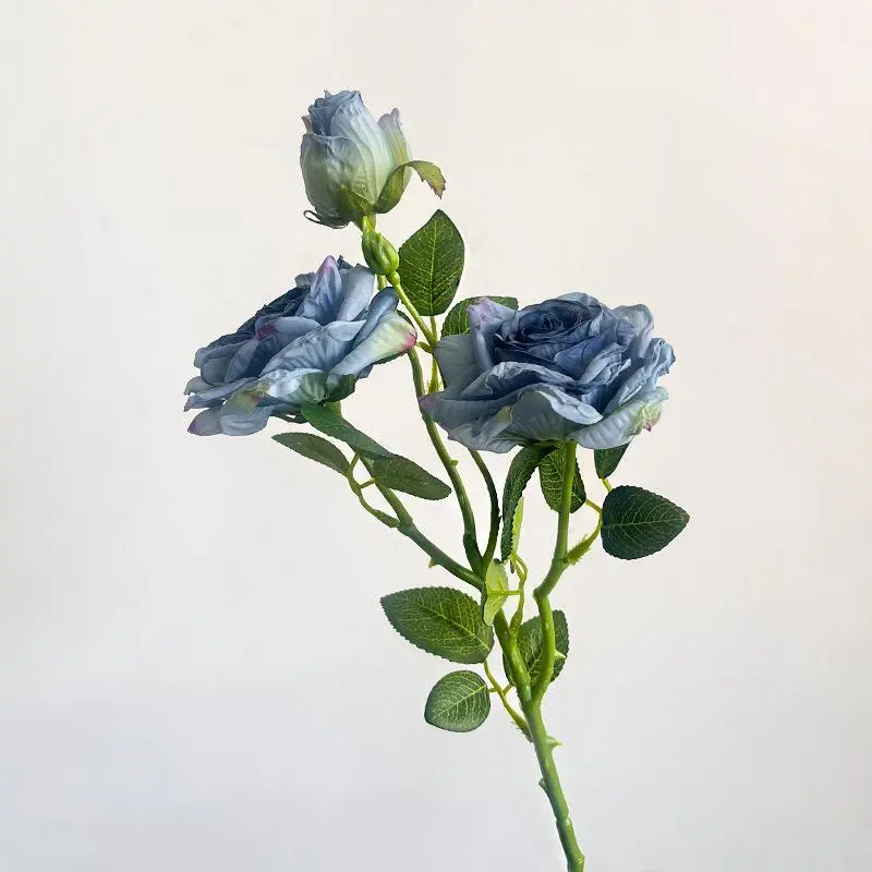 Blue vintage 3-headed rose