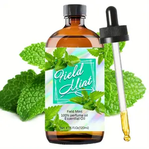 120ML Peppermint Scented Premium Essential Aromatherapy Oil, Long-Lasting Fragrance, Home Use, Aromatic Oils For Nail Care, Nail Hair Skin Care, Massage Diffuser Humidifier