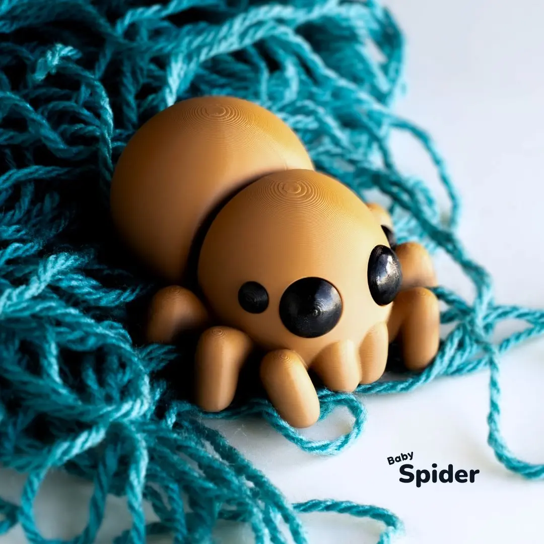 Baby Spider