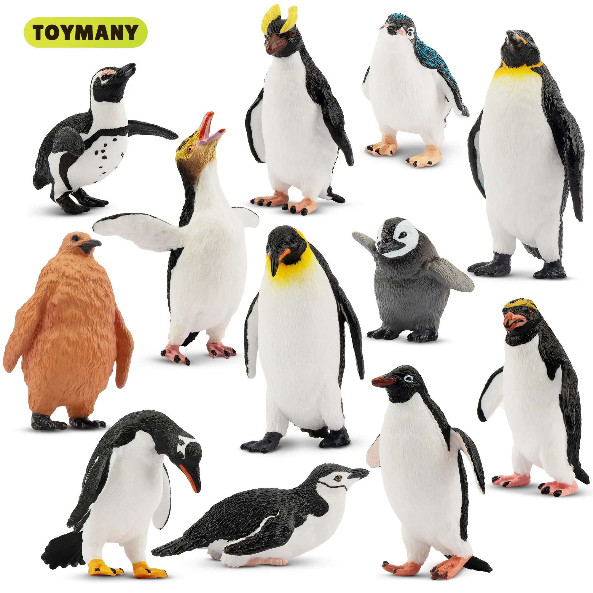 TOYMANY 12PCS High-Quality Durable PVC Penguin Figurines Toyset - Miniature Realistic Animal Figurines with Cubs, Easter Egg Cake Toppers, Kids' Christmas Gift, PVC Figure Decoration