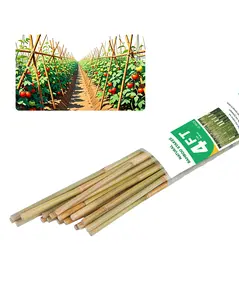 4FT Bamboo Stakes 25 Pack – Natural Plant Support Sticks for Garden, Tomatoes, Beans & Flowers