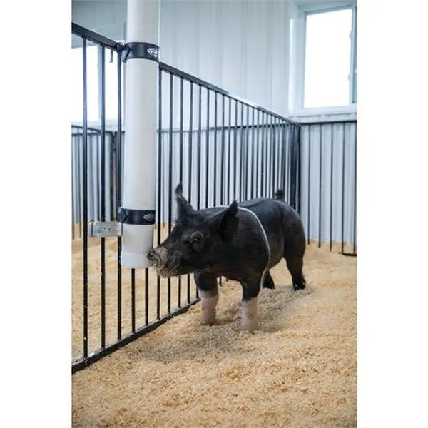 Weaver Pig Waterer