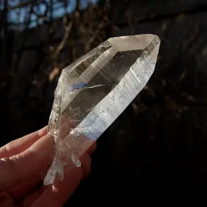 4.75" Colombian Lemurian Seed Quartz Crystal Tabby Starbrary Bridge, Peñas Blancas