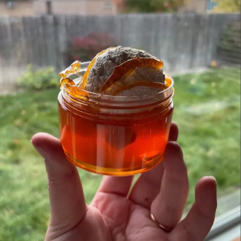 Apple Pie Sunday Slime Sensory Kit - Scented Cinnamon Apple Bourbon - Interactive Jelly Cubes & Ice Cream Mix - Unique Texture Experience - Fun for Sensory Play