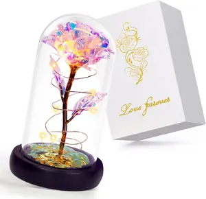 New Deal - Valentines Gifts for Her,Birthday Gifts for Women,Valentines Day Flowers Gifts for Mom,Women,Her,Wife,Grandma,Light Up Rose in Glass Dome,Colorful Rainbow Mothers Day Flowers for Delivery