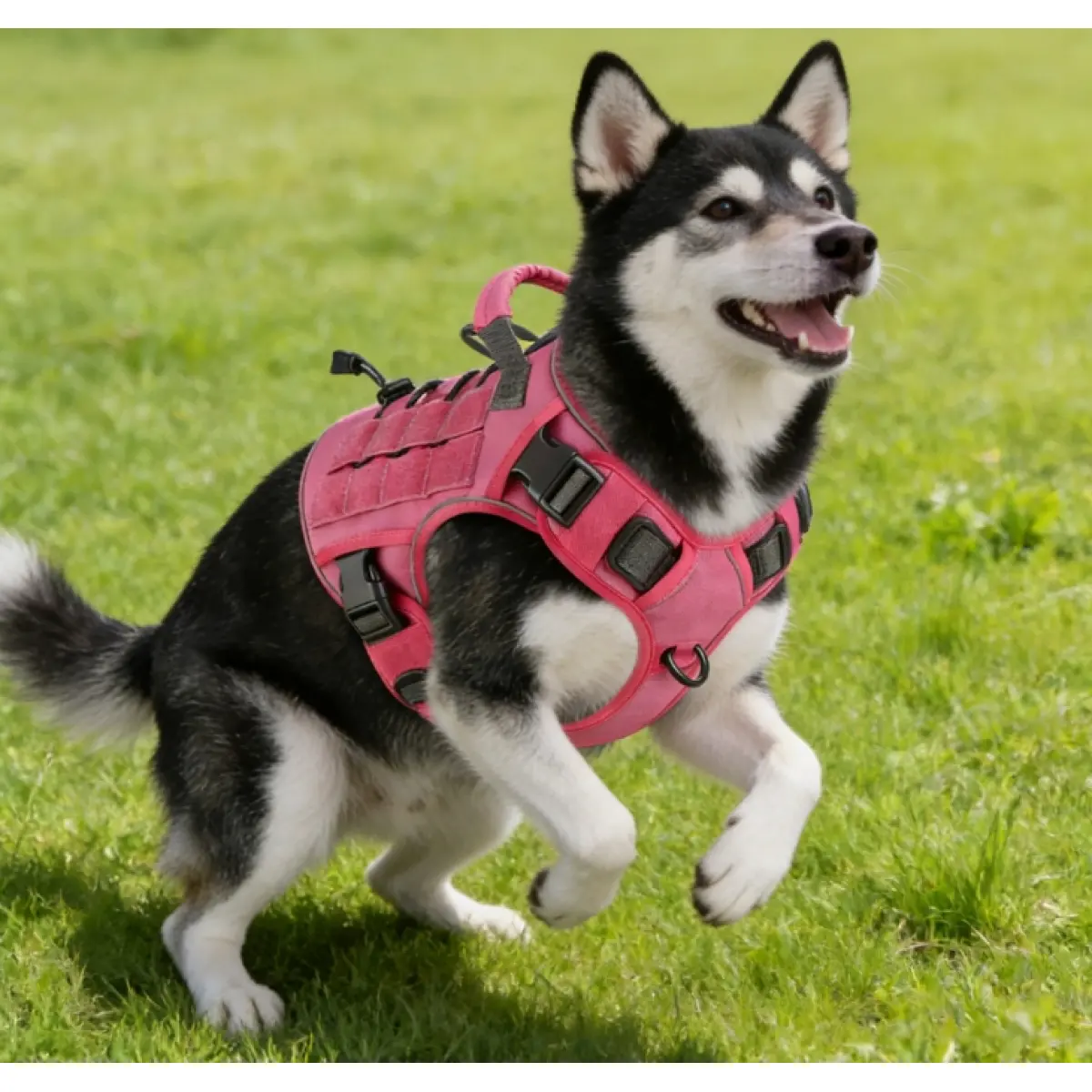 Adjustable Anti-Pull Tactical Dog Harness with Handle, Suitable for ...