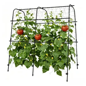 GAOMON Garden Arch Trellis for Climbing Plants Outdoor, 5.3 ft x 5.3 ft Cucumber & Melon Trellis for Raised Beds, u-Shape Plant Support for Climbing Vegetables, Grapes & Roses, Black