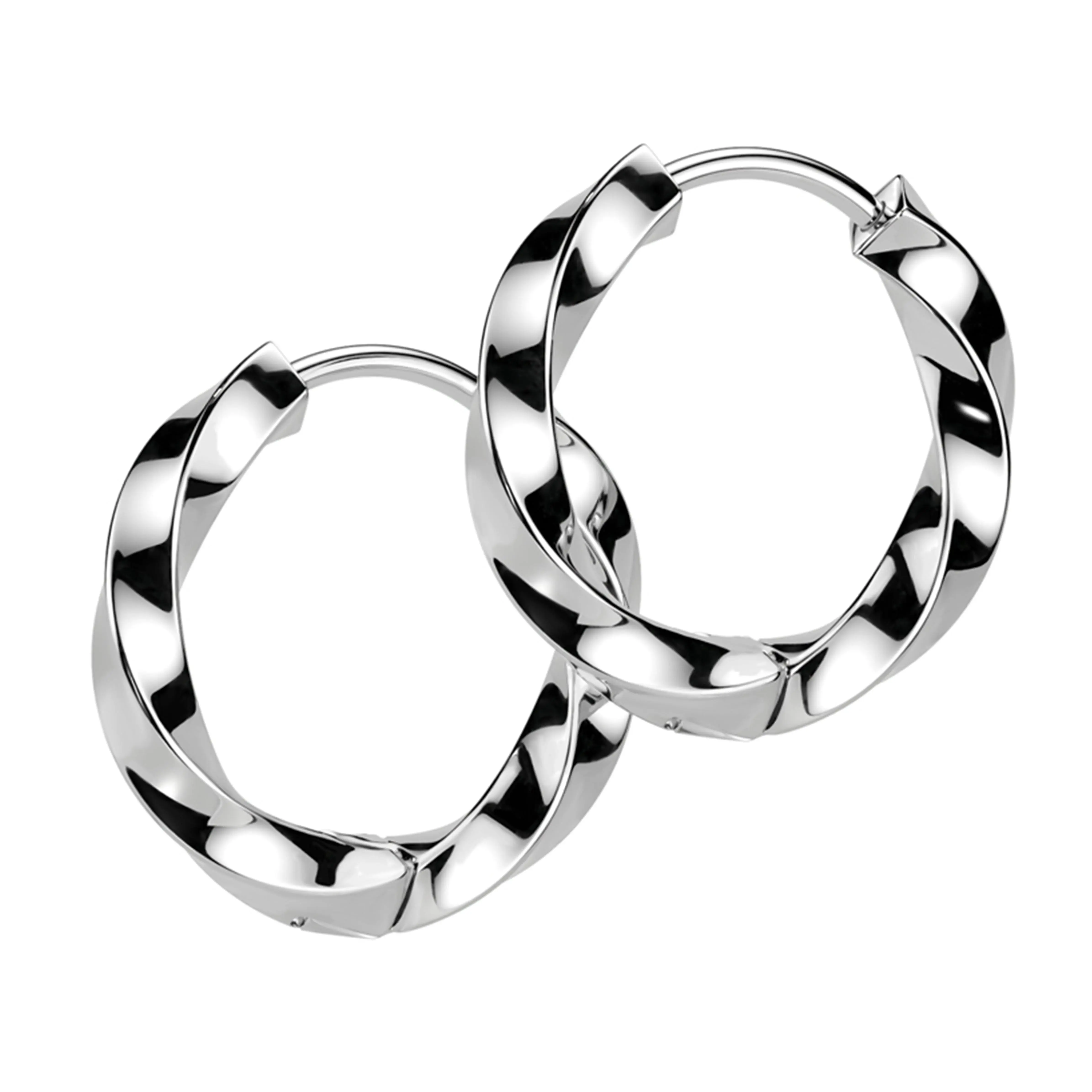 Twisted Hoop Stainless Steel Hinged Earrings