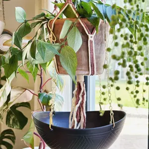 Hanging Catch Tray - Black + Gold