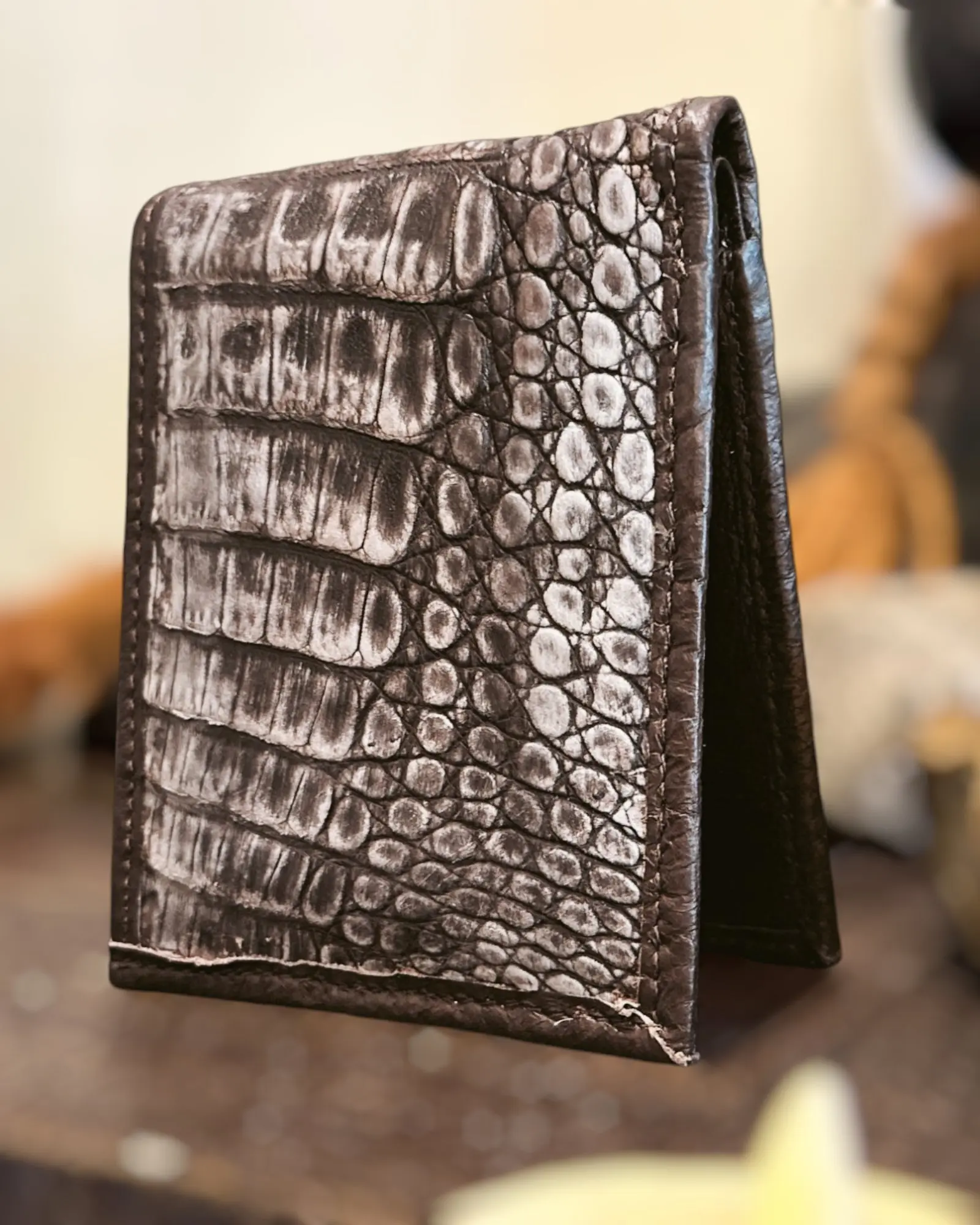 Nobuck Brown Alligator 6 Card Slot Wallet