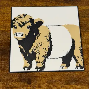 Galloway coasters