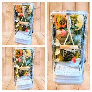 Pre Decorated Jumping Spider Enclosure "Springtime"