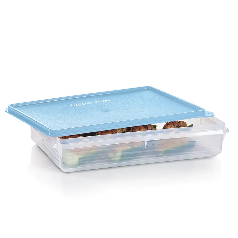 Tupperware Snack-Stor Large Container