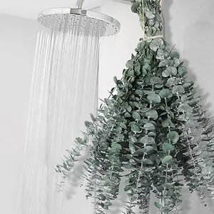 11 PCS Real Dried Eucalyptus Shower Plants -17 Large Eucalyptus Stem for Decor Fresh Eucalyptus Leaves for Shower,Bathroom Vase Decor,DIY Ornaments